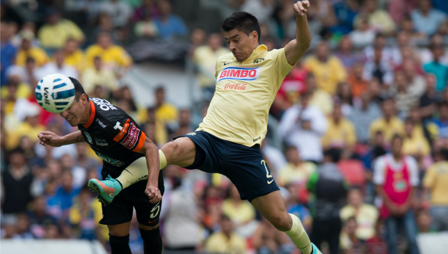 goltz
