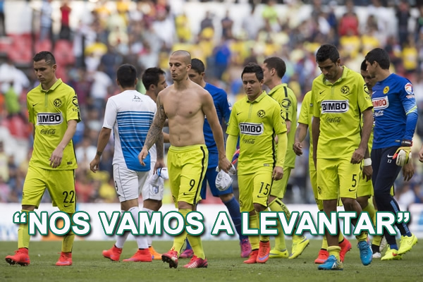pellerano-nos-vamos-a-levantar